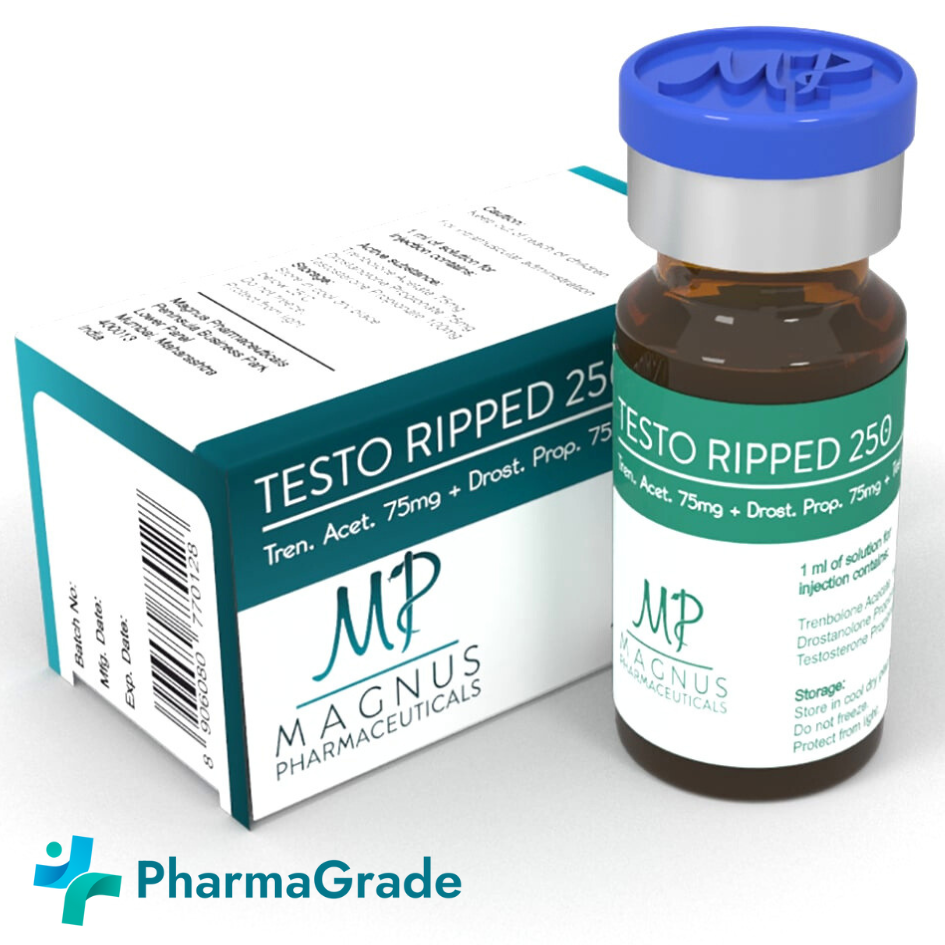 TESTO RIPPED – 250